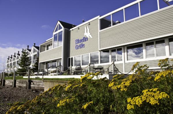 Bluefin Bay On Lake Superior Tofte Extérieur photo
